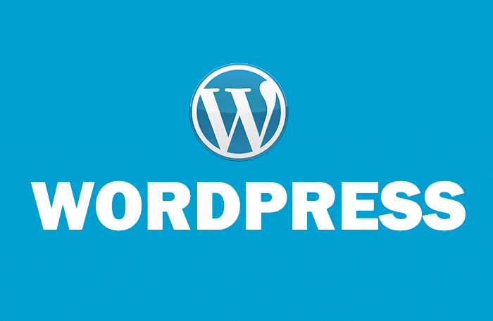 Ecommerce Wordpress development