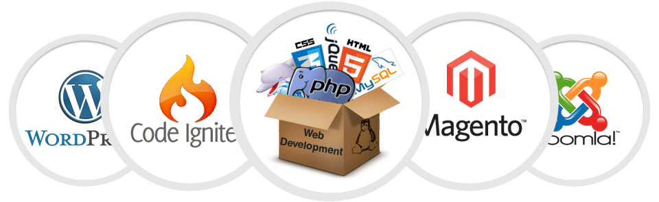 web development 2