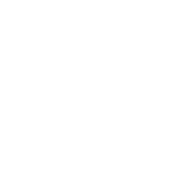 interactive multimedia