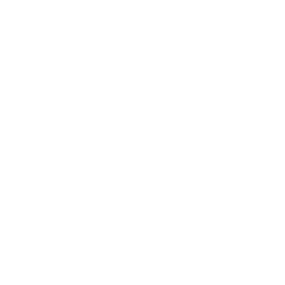 social engagement
